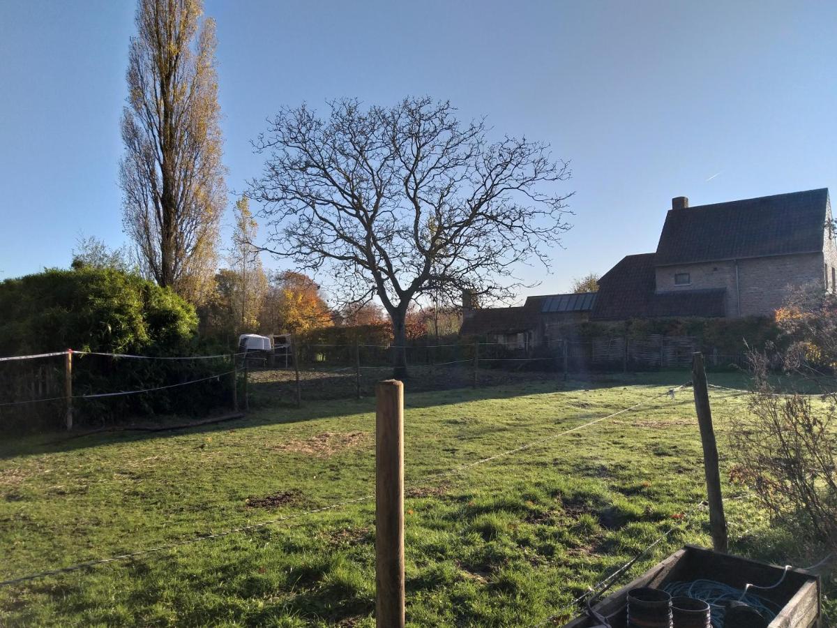 Vila Hof Ter Sysen Loppem Exteriér fotografie