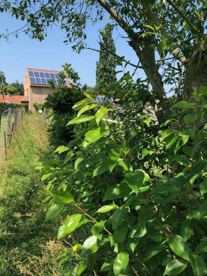 Vila Hof Ter Sysen Loppem Exteriér fotografie